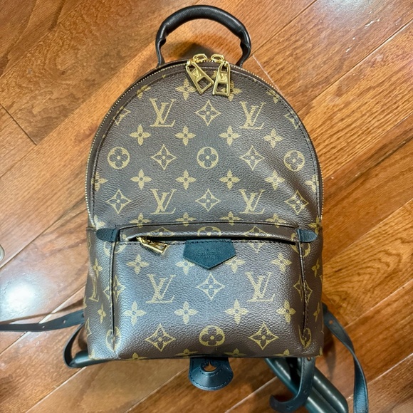 Louis Vuitton Palm Spring Backpack main image 7